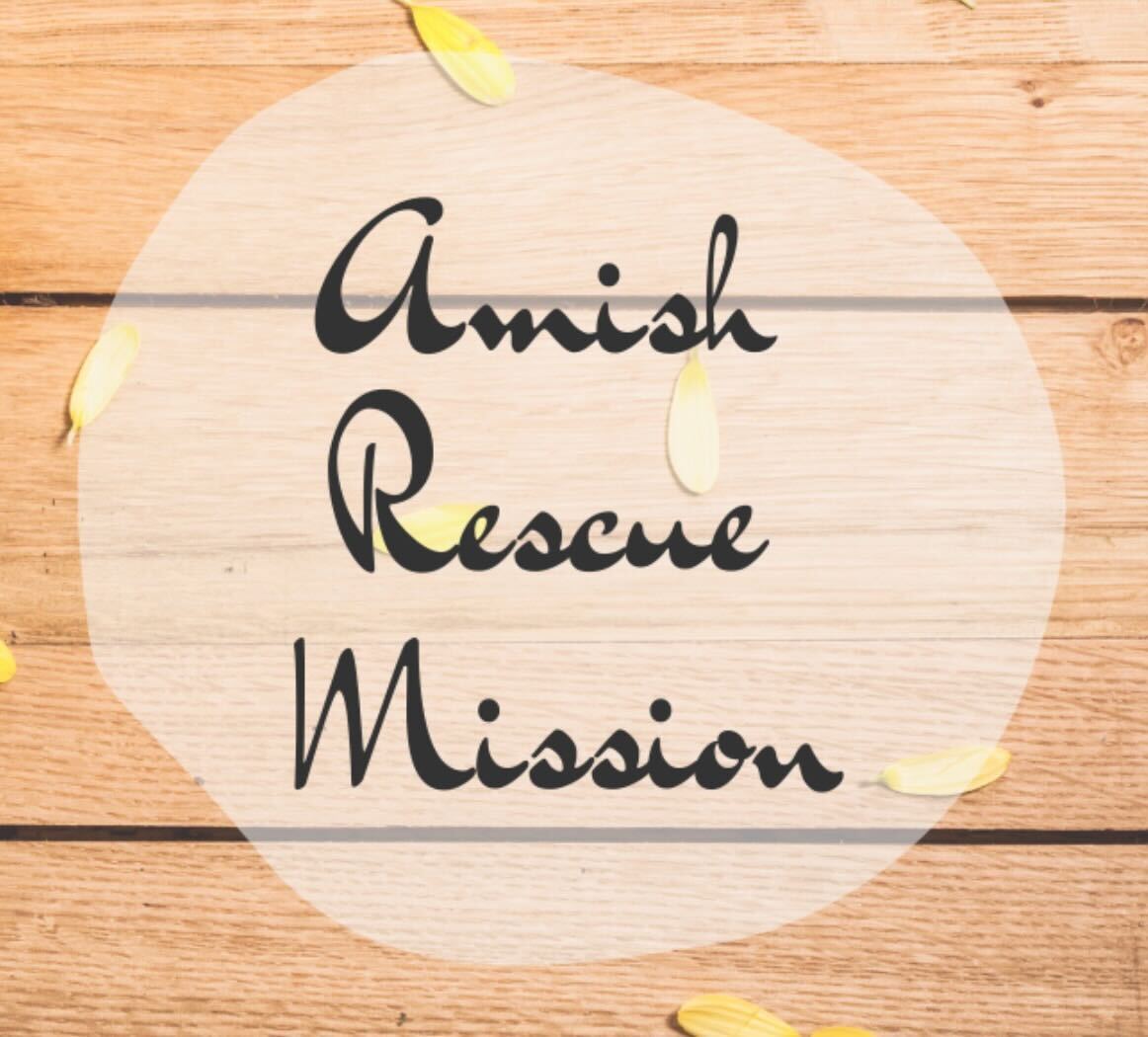 Amish Rescue Mission